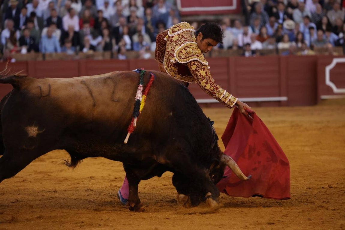 El quinto toro fue para Perera