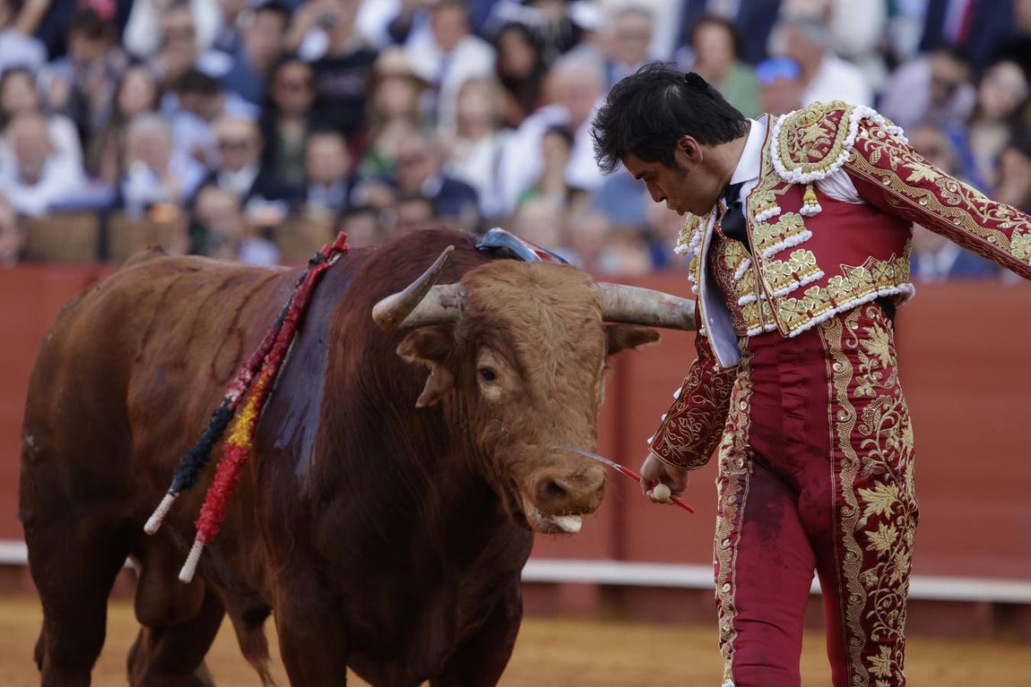 Actuación de Perera en la Maestranza