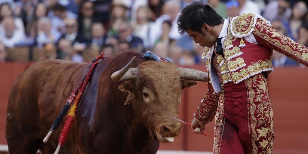Lección magistral de Perera ante la bravura extrema de Santi Domecq: Anárquico, un toro para toreros machos