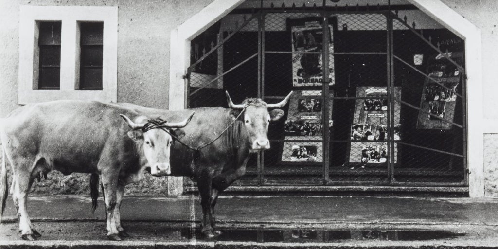 'La mirada reflexiva de Ricard Terré' en la RABASF: fotografiar la esencia del hombre