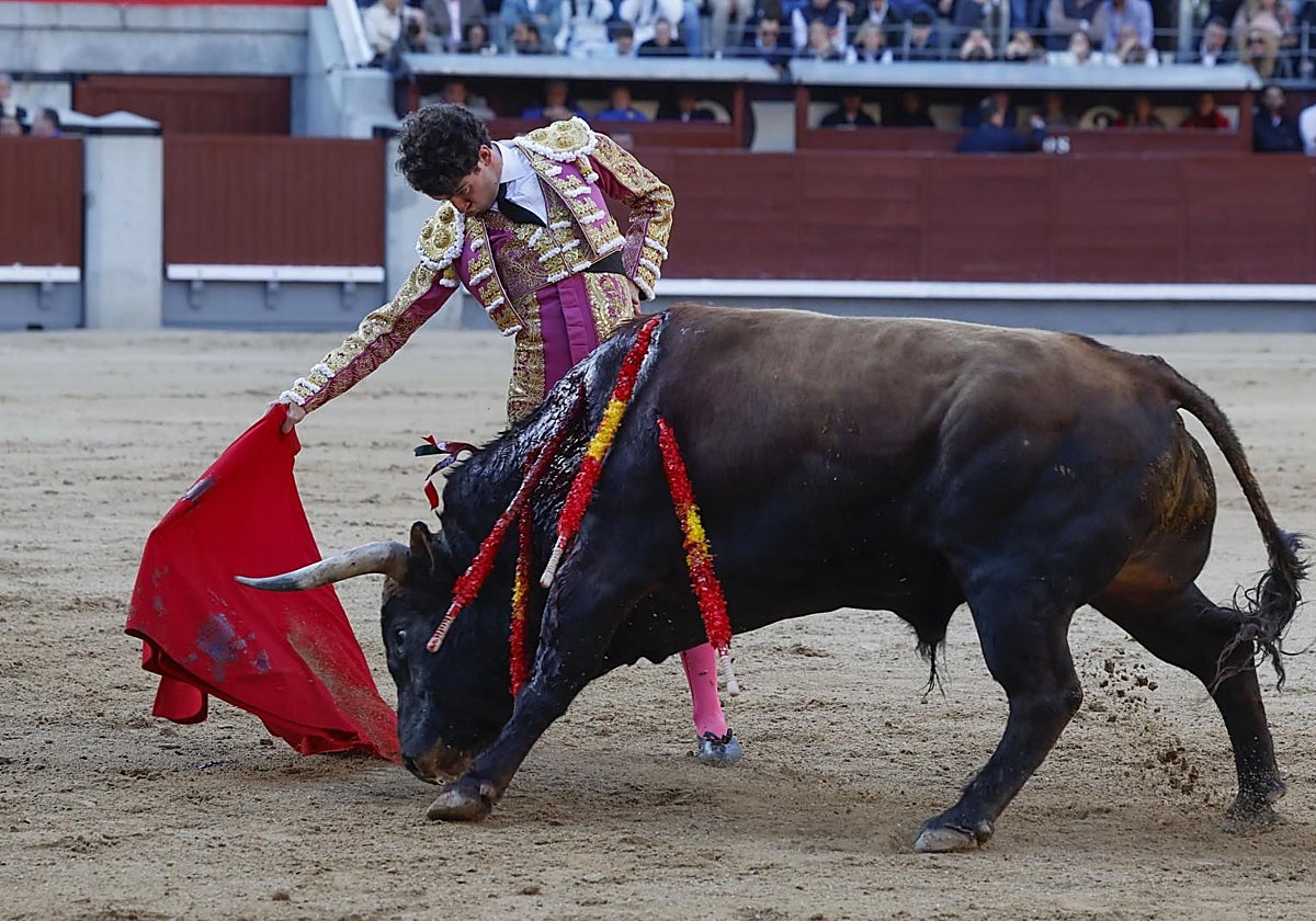 Víctor Hernández, con Busca-Oro, la alimaña tercera de la corrida del Pilar