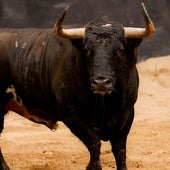 Sexto toro para David de Miranda