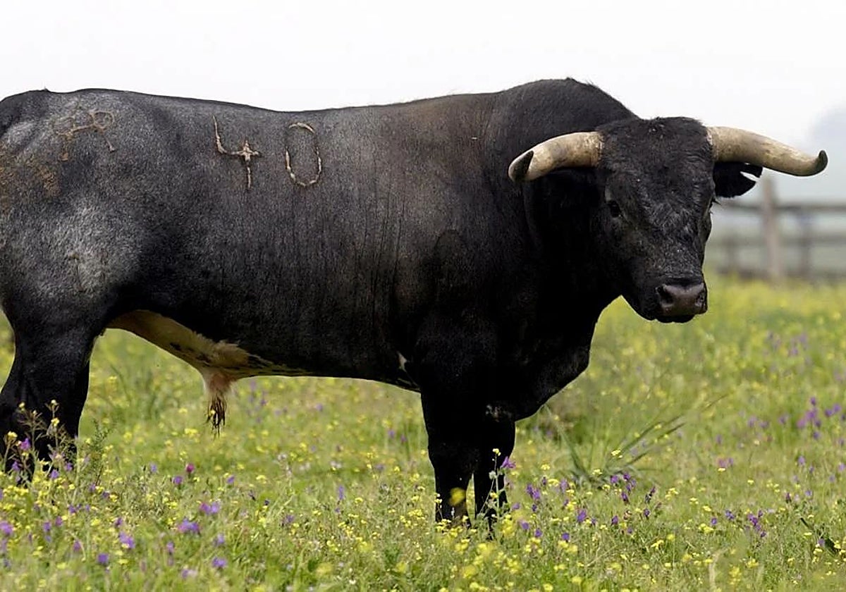 Un ole por los ganaderos