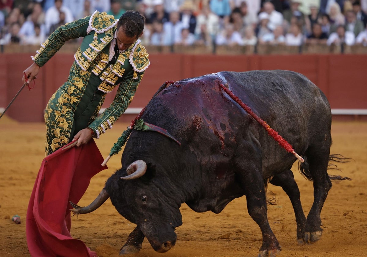 El torero improvisó momentos de enjundia como esta sentida trincherilla ante el quinto de Miura