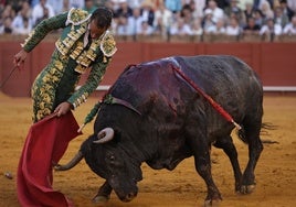 El torero improvisó momentos de enjundia como esta sentida trincherilla ante el quinto de Miura