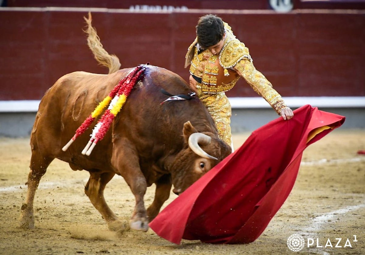 Aarón Palacio, en un ajustado natural a Burlón, el mejor novillo