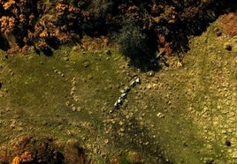 Descubren en Escocia restos del que podría ser el campo de fútbol más antiguo del mundo