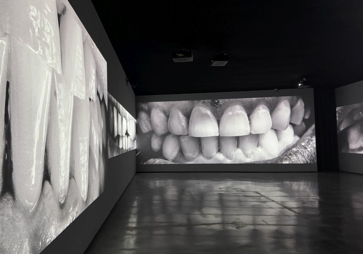 Detalle del montaje de '2.068 dientes' en el Museo Helga de Alvear
