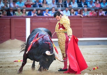 Morante de la Puebla gana la Oreja de Oro de la Corrida de la Prensa por su histórica faena en el 125 aniversario