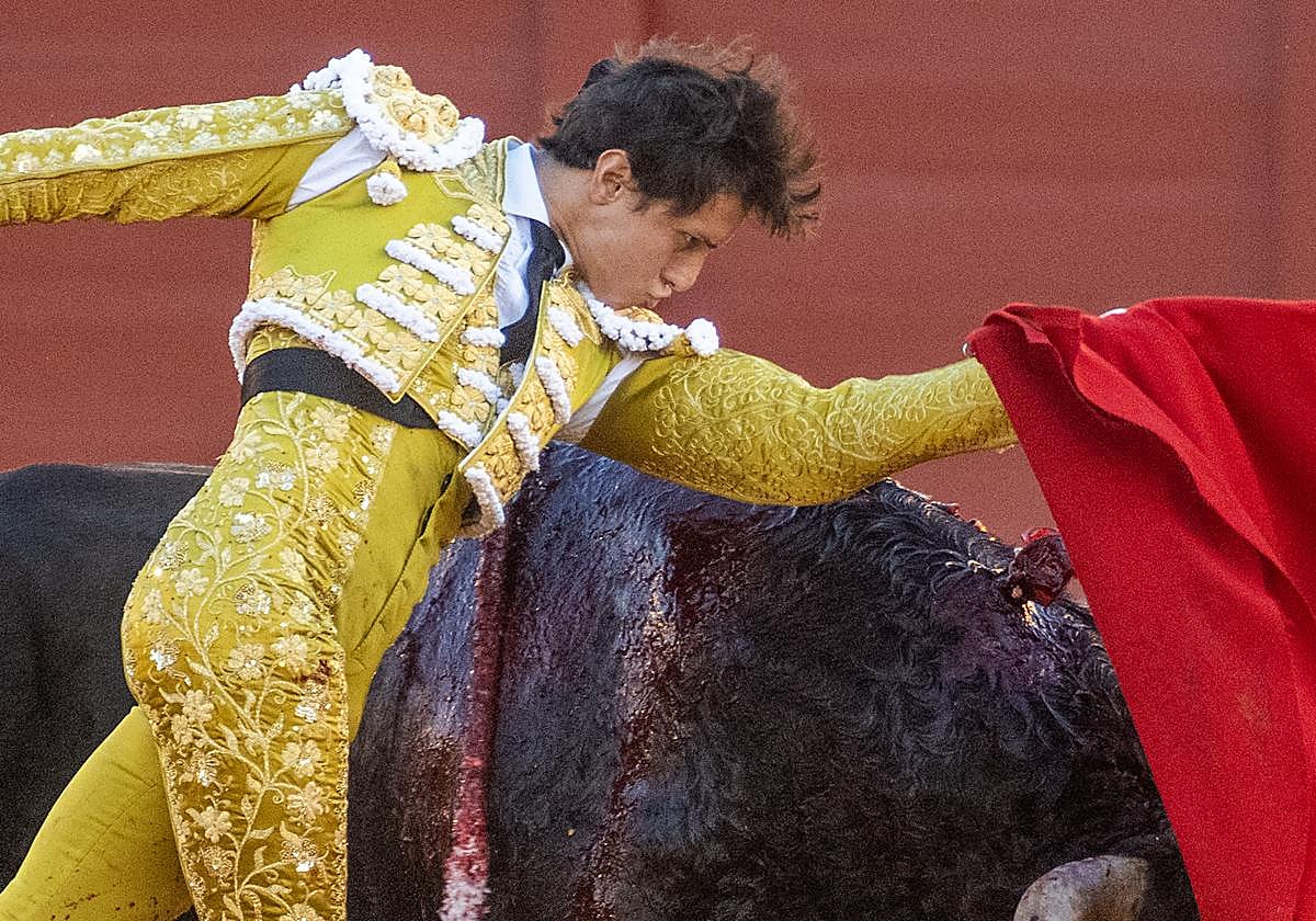 Toros en Las Ventas de Madrid por San Isidro, en directo: última hora de Diego Urdiales, Roca Rey y Rafa Serna hoy