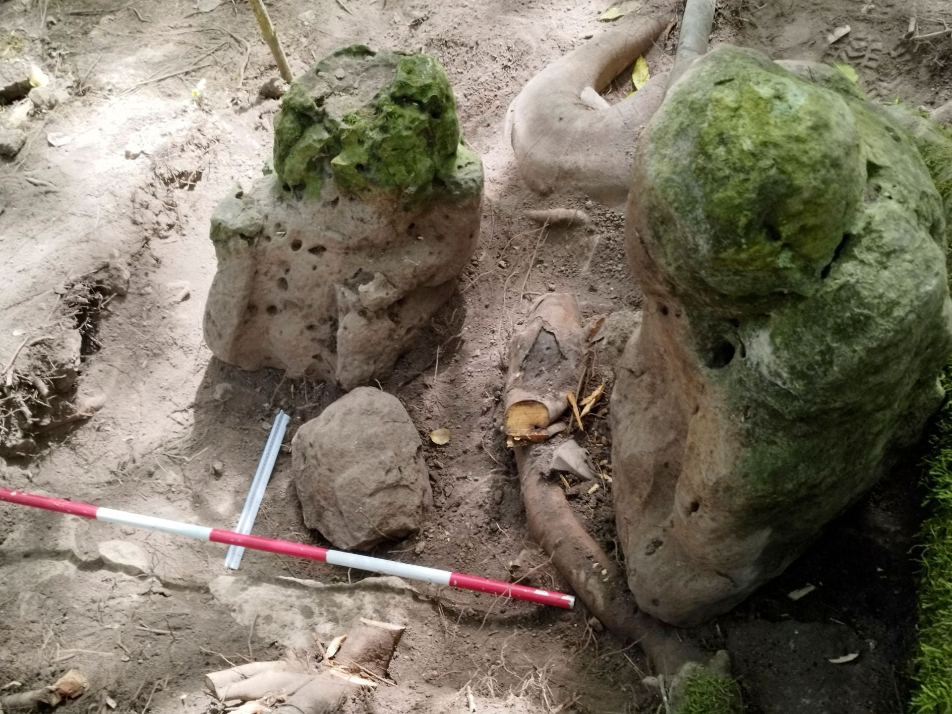Secundaire afbeelding 1 - Een 2800 jaar oude Mayastad ontdekt in Guatemala