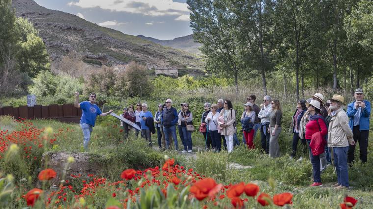 El público, durante una de las excursiones organizadas como complemento a los conciertos