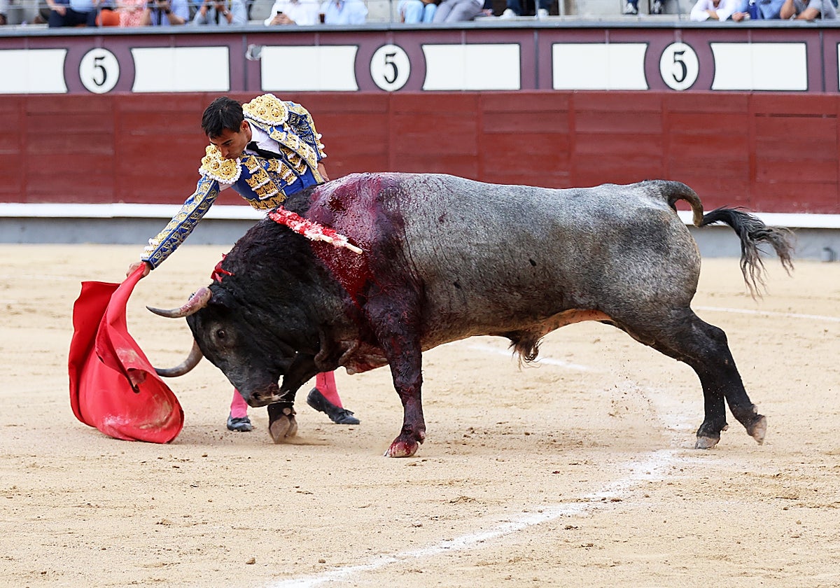 Gómez del Pilar con el quinto