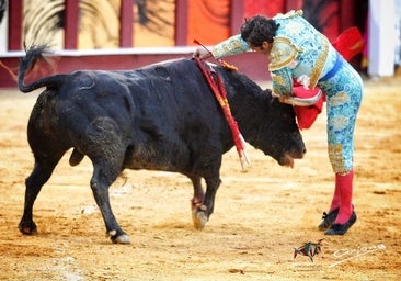 Morante y Fortes, doblete de una feria de Málaga llena de alicientes