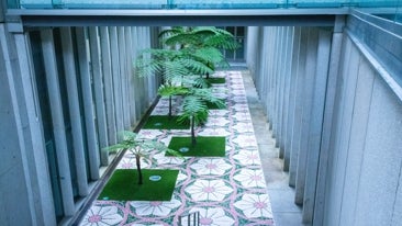 Bienal de Arte de Pontevedra