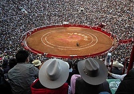 La Plaza México suspende las corridas de toros por la nueva legislación: «El espectáculo es inviable sin violencia»