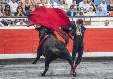 Colgados en la web de ventas los carteles de Illumbe y Bilbao