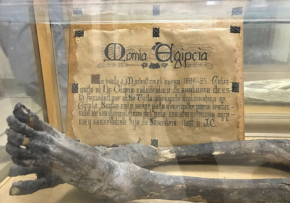 Cartel antiguo de la vitrina que albergaba a la niña momificada que Toda entregó a la Facultad de Medicina