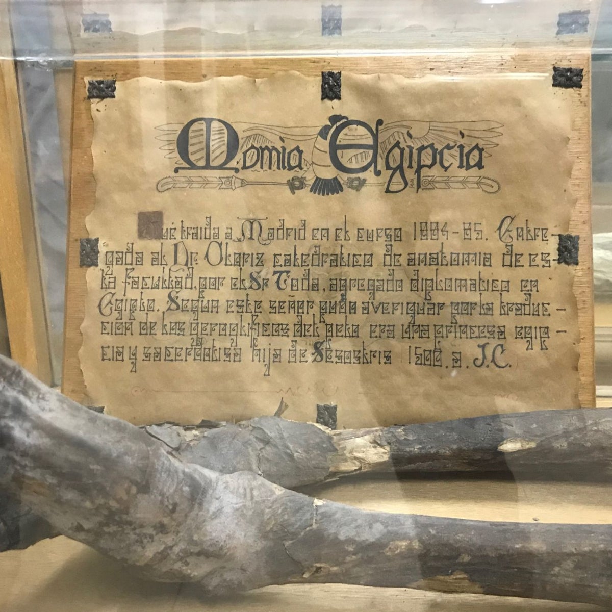 El misterio de la momia perdida en la Universidad Complutense