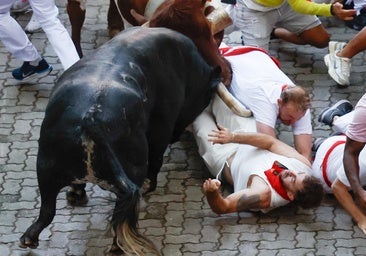 Los peligrosos Cebada Gago, la ganadería más temida de San Fermín