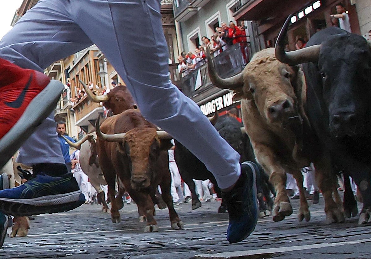 Los bravos de la ganadería Jandilla durante el quinto encierro en Pamplona
