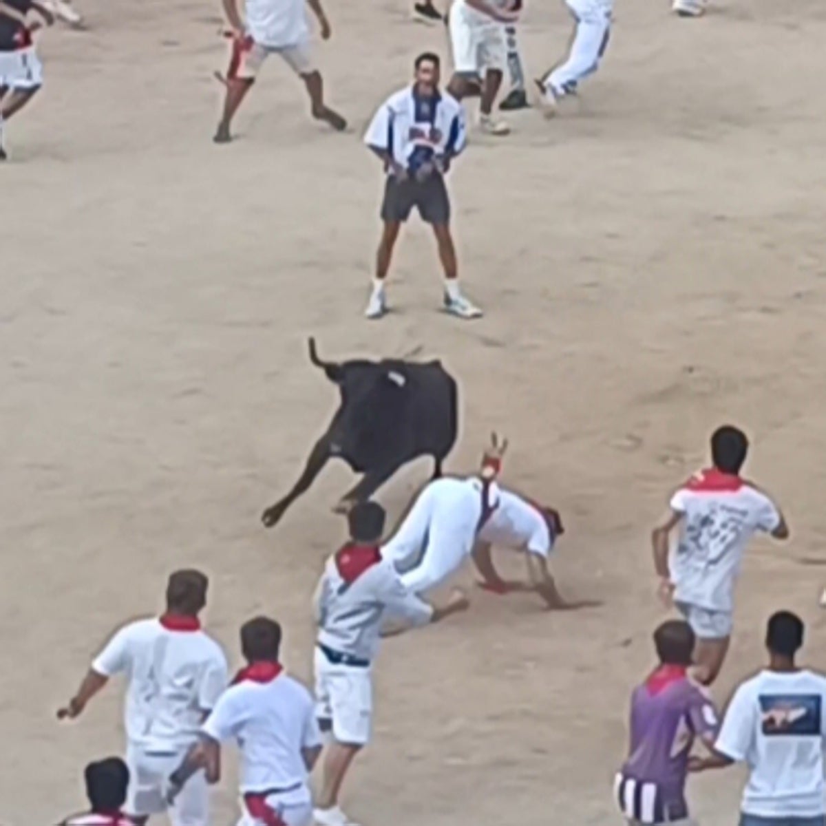Las vaquillas de San Fermín: volteretas para todos, caídas y bajadas de pantalones