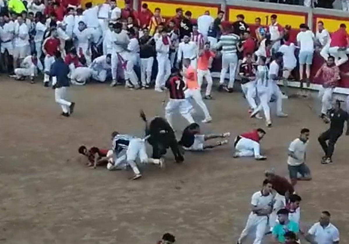 Uno de los cárdenos se lleva por delante a varios mozos en el ruedo