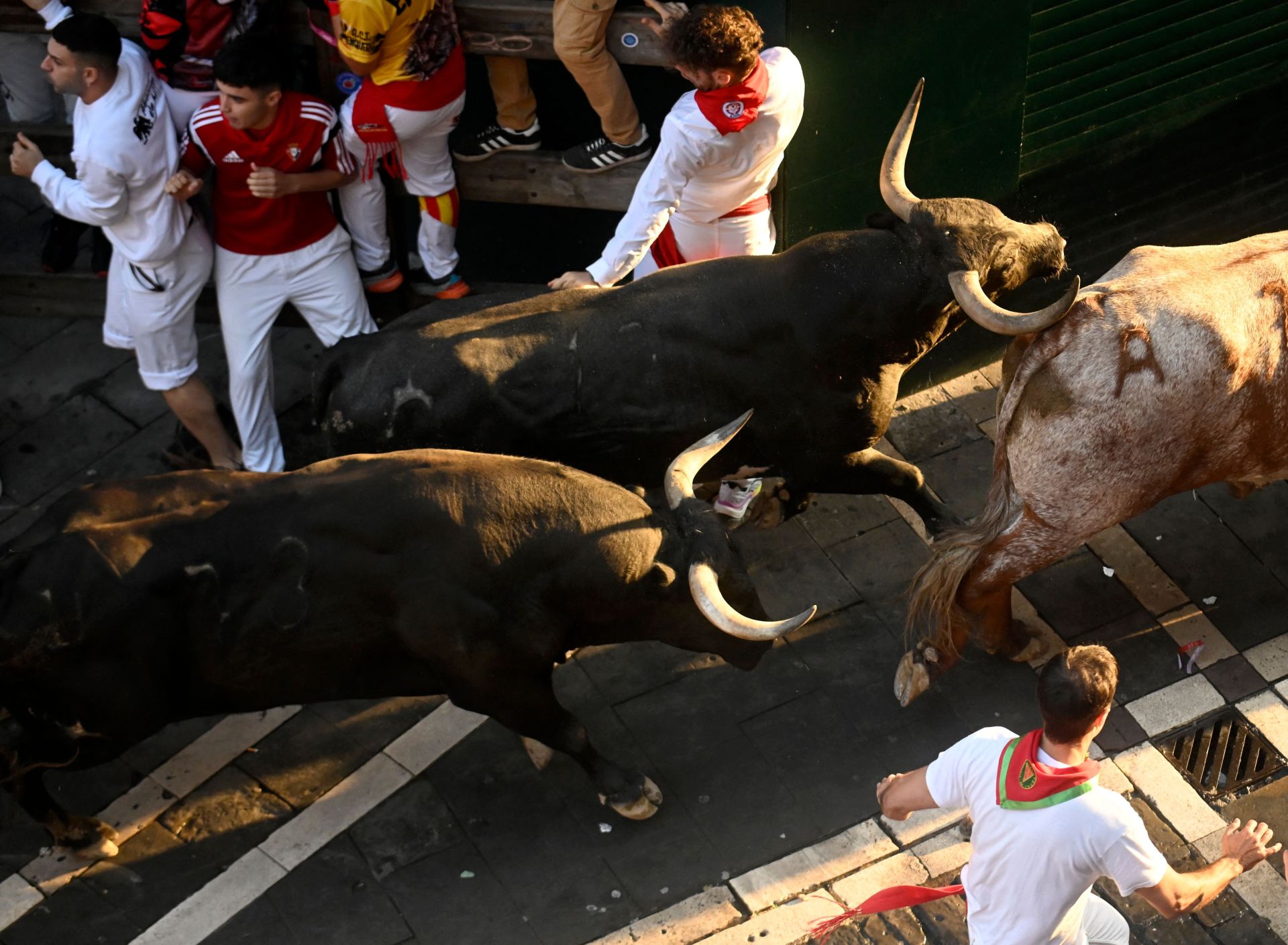 Detalle de los Miura en el último encierro de los Sanfermines 2025.