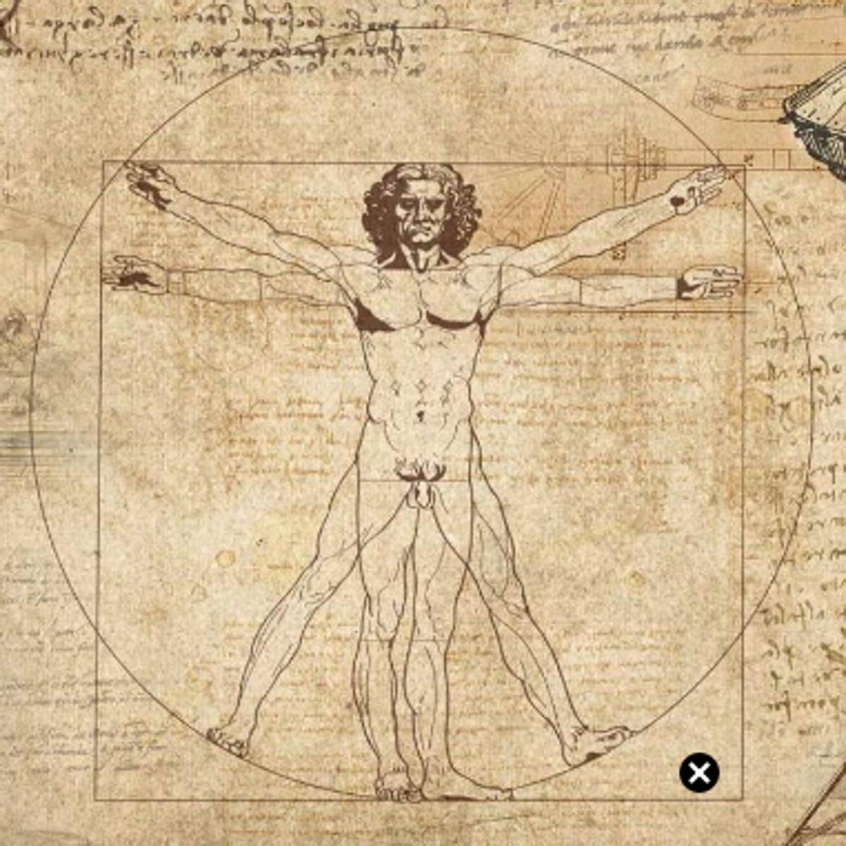 Una nueva hipótesis pretende resolver un enigma «oculto a plena vista» del 'Hombre de Vitruvio' de Leonardo da Vinci