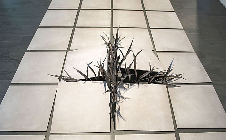 Imagen principal - De arriba abajo, propuestas de Cristina Almodóvar, Daniel Verbis y Chus García-Fraile para 'Instante eterno en el jardín', en CentroCentro