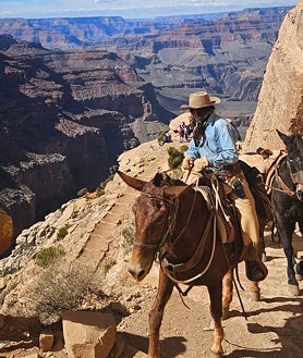 Imagen secundaria 2 - Arriba, el espectacular meandro conocido como Horseshoe Bend. Vistas del cañón del río de Colorado, Monument Valley y un 'ranger' montado en una mula