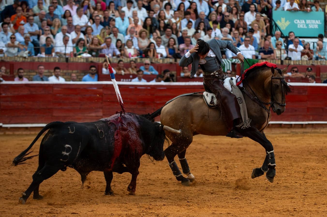 Sergio Galán, Diego Ventura y Andrés Romero pusieron en pie a los tendidos de La Merced