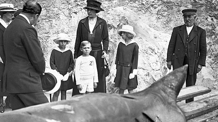 1918: El verano en que los tiburones acecharon las playas españolas