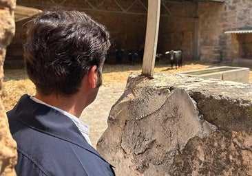 Palma se prepara para el huracán Morante con la vuelta de los menores a los toros: «Si los niños no lo viven, ¿quién los defenderá mañana?»