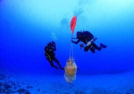 Equipo de buceo en las aguas de la isla de Kasos