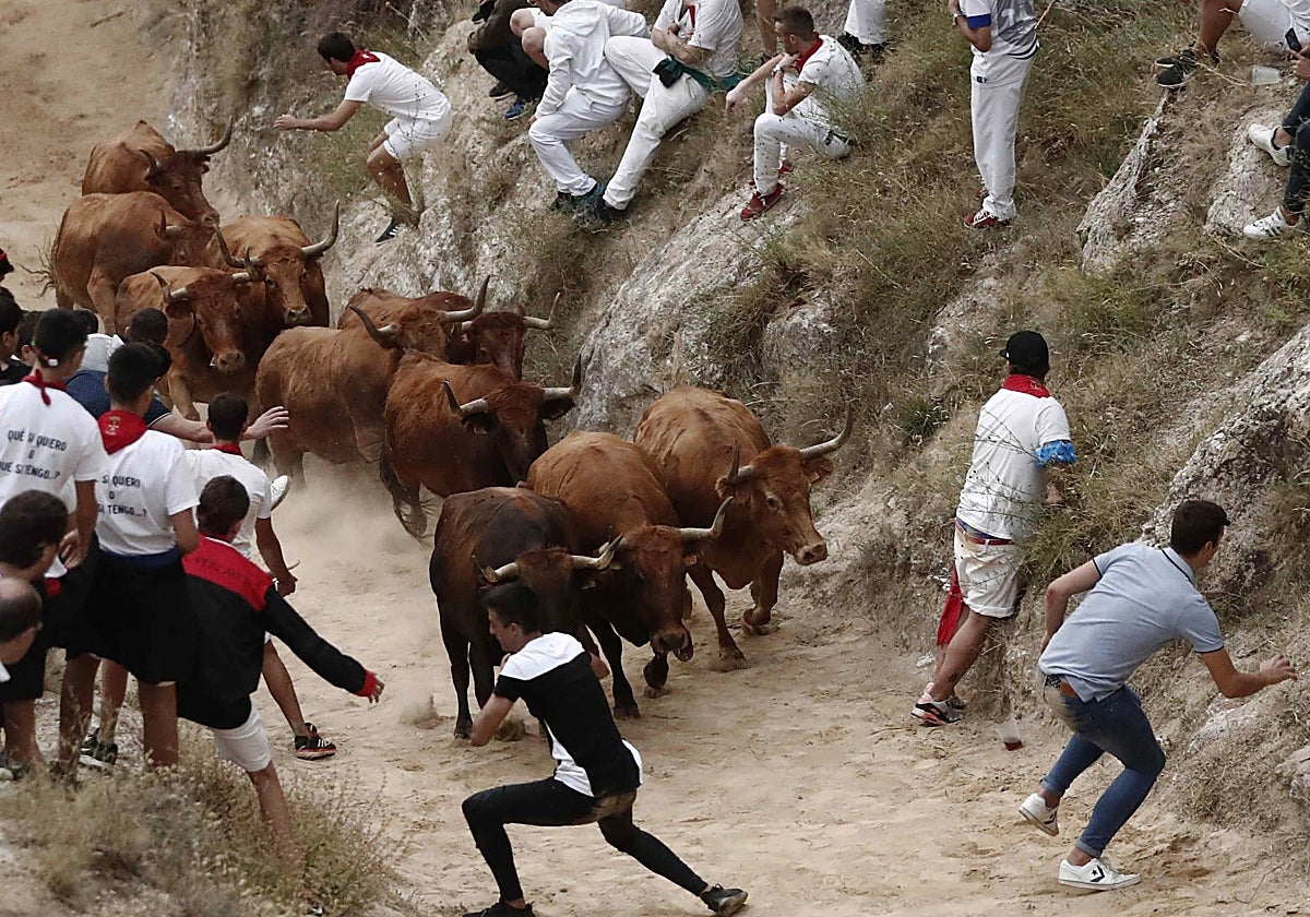 Encierro de las fiestas de Pilón de Falces