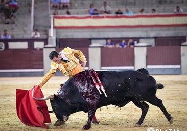Molina deja lo más destacado en la confirmación de Lama con una buena corrida de El Torero