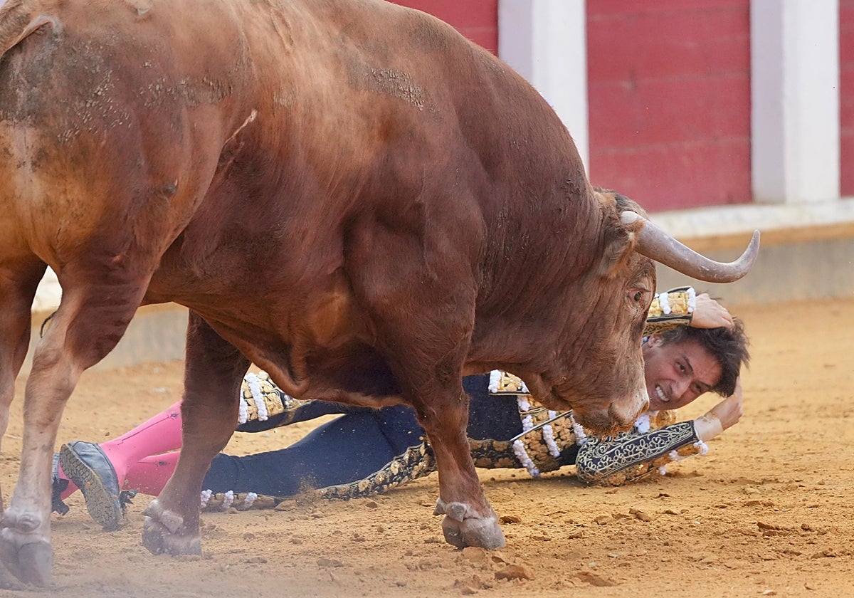 Roca Rey, a merced del toro