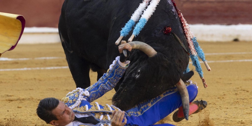 Manzanares, con fractura de una costilla por su cogida en Murcia, causa baja en sus próximas citas