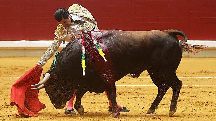Diego San Román en La Ribera