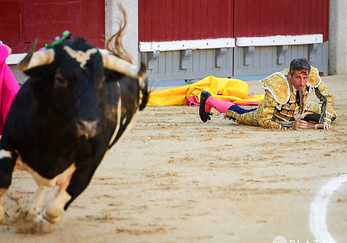Serafín Marín mira cómo se aleja el toro que el hirió