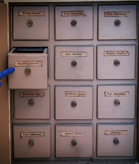 Imagen secundaria 2 - Antiguos albarelos de la Real Botica y bote de extracto acuoso de cicuta extraído de los cajones