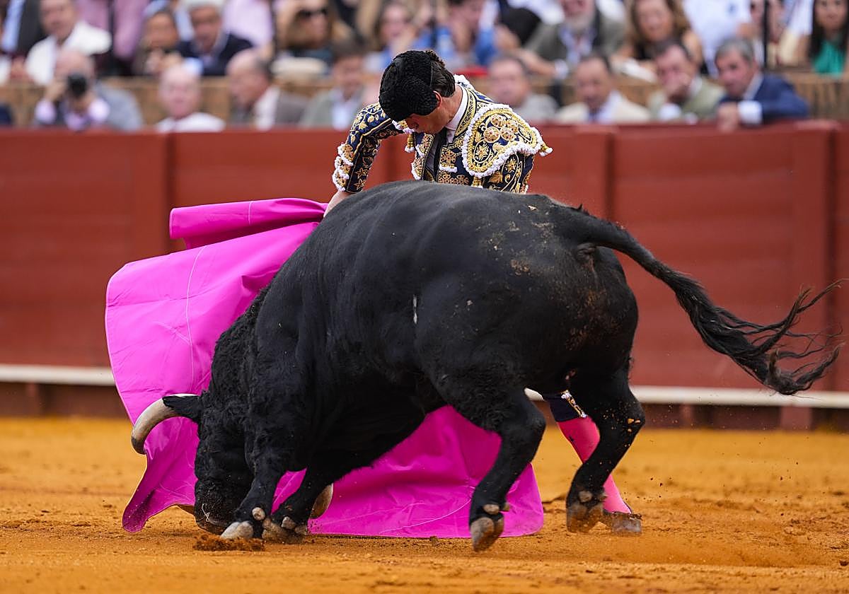 El torero Daniel Luque este sábado en Sevilla