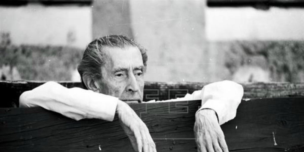 Bergamín, yo te celebro