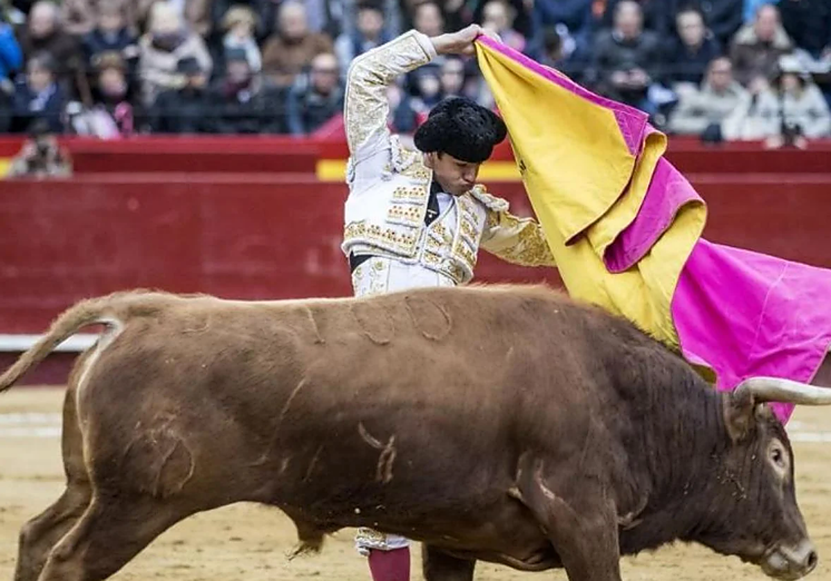 Una nueva cita con los toros
