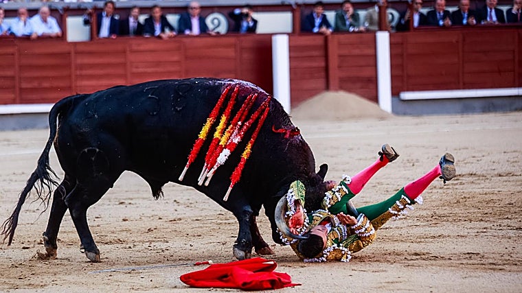 Escalofriante cogida del extremeño