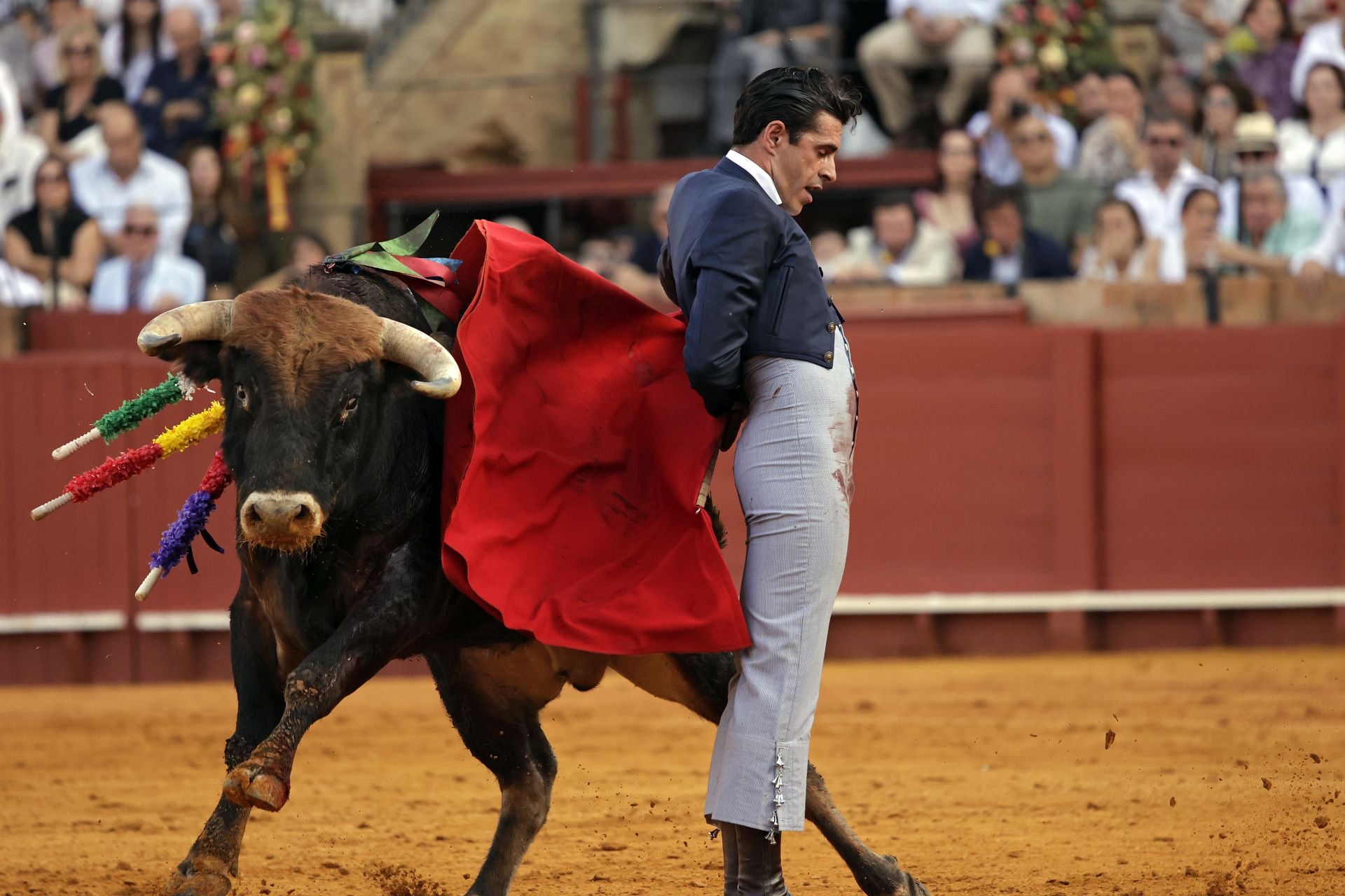 Festival taurino en la Maestranza