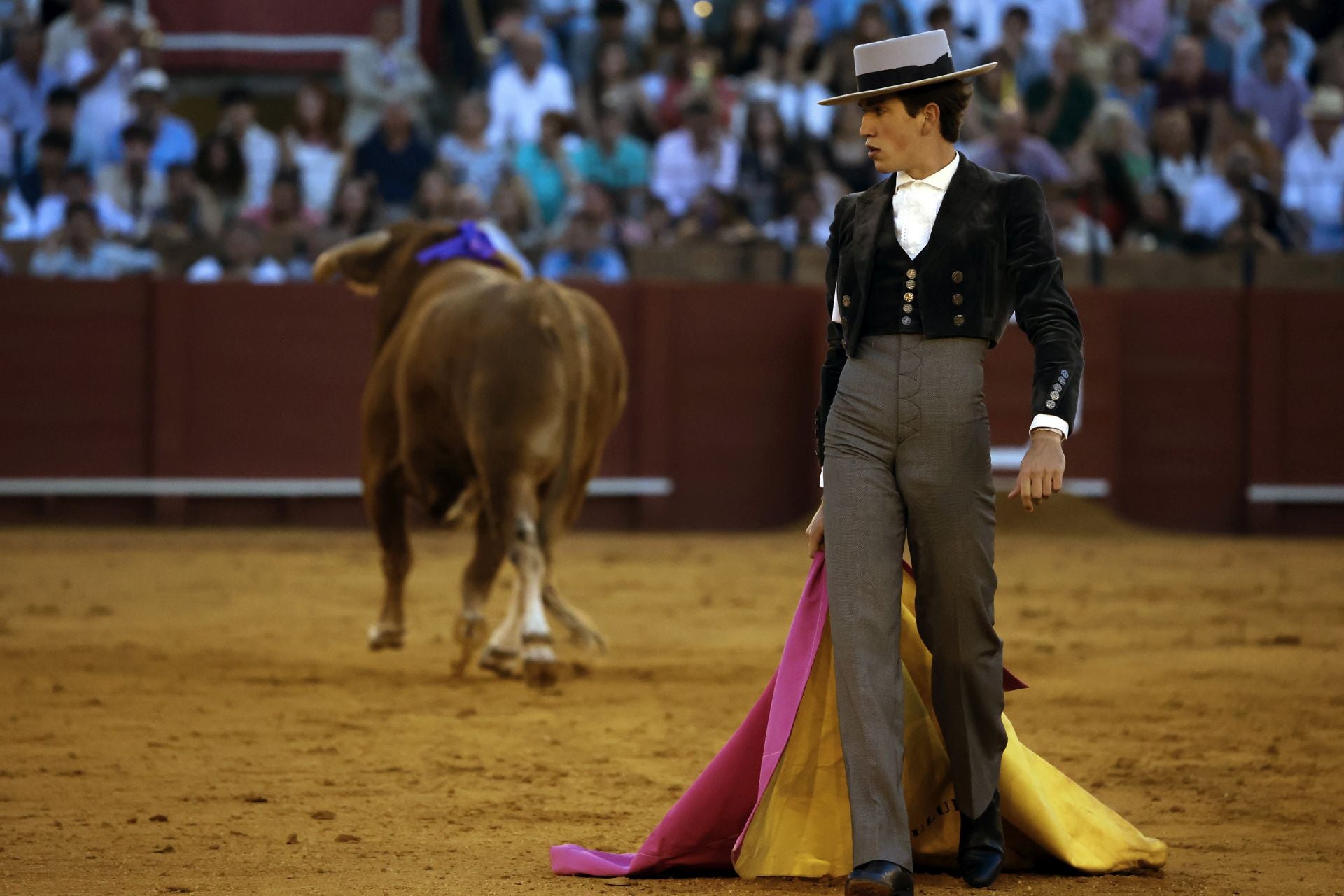Festival taurino en la Maestranza