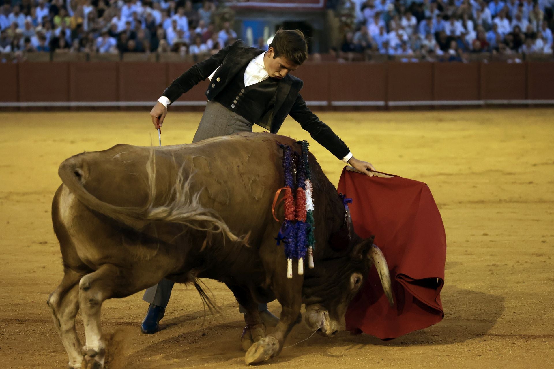 Festival taurino en la Maestranza