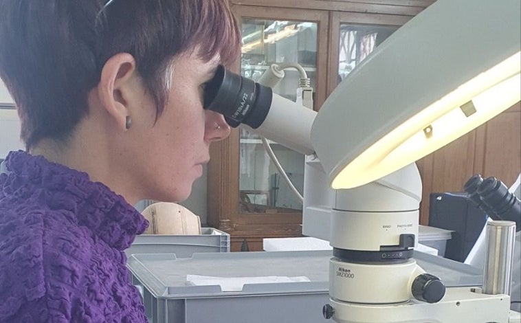 Imagen - Investigación de los fragmentos textiles